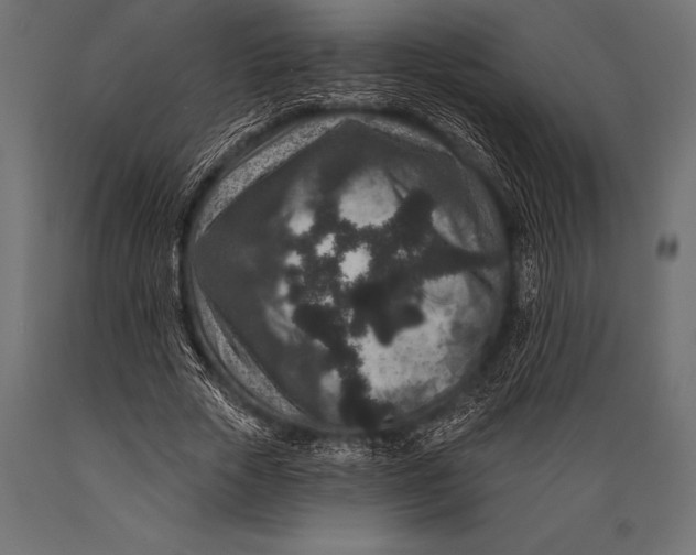 X0000088880729200706291603