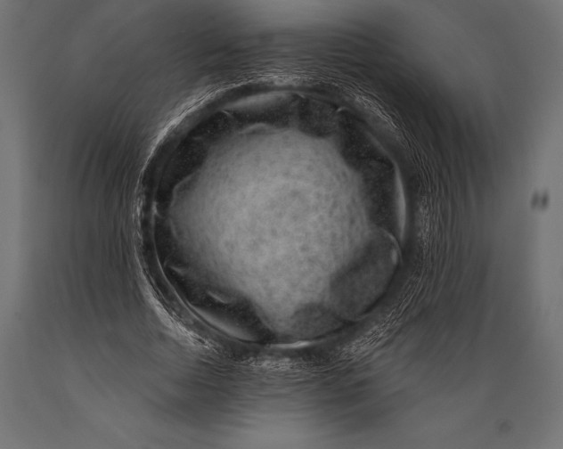 X0000088880730200706291603