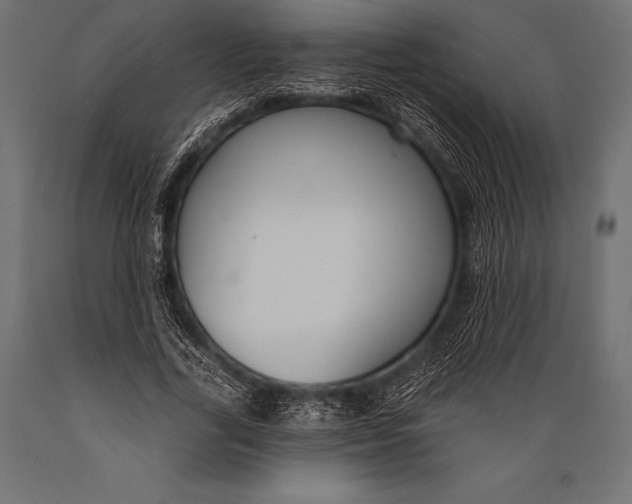 X0000088880731200706291603