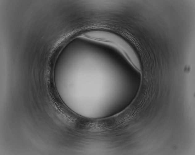 X0000088880732200706291603