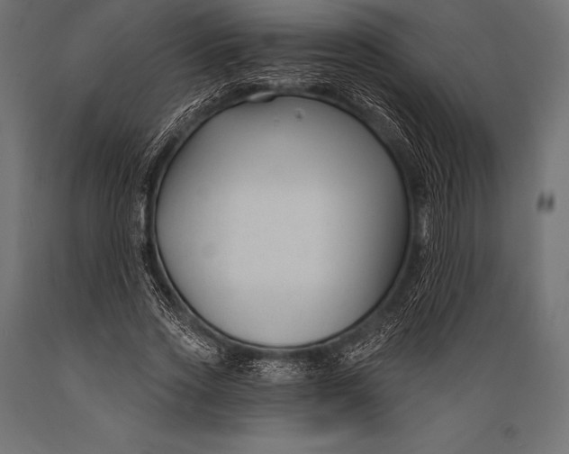 X0000088880733200706291603