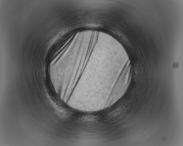 X0000088880734200706291603