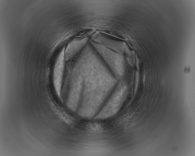 X0000088880735200706291603