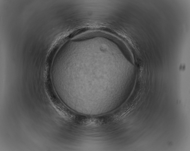 X0000088880736200706291603