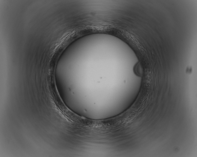 X0000088880738200706291603