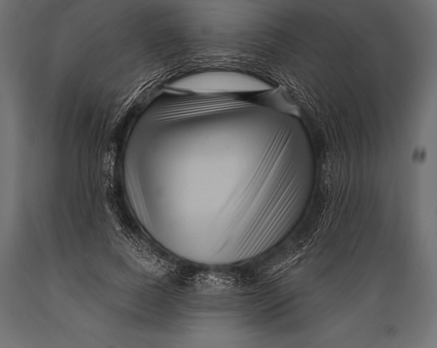 X0000088880739200706291603