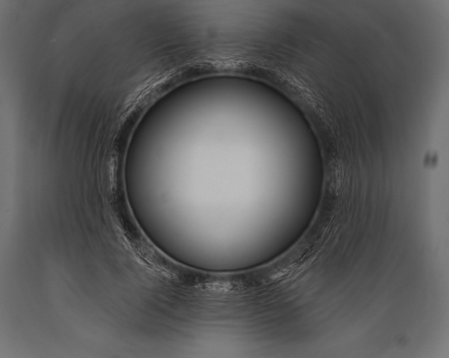 X0000088880740200706291603