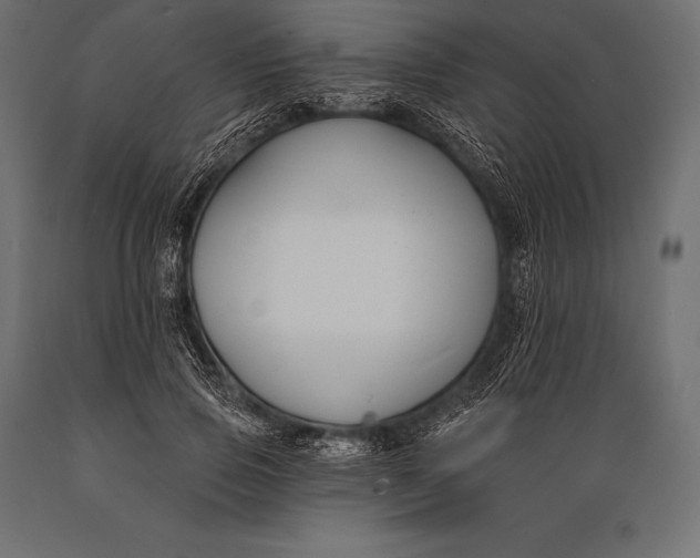 X0000088880741200706291603