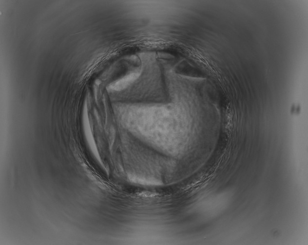 X0000088880742200706291603