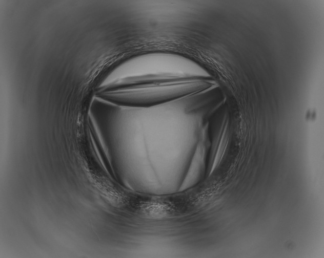 X0000088880743200706291603