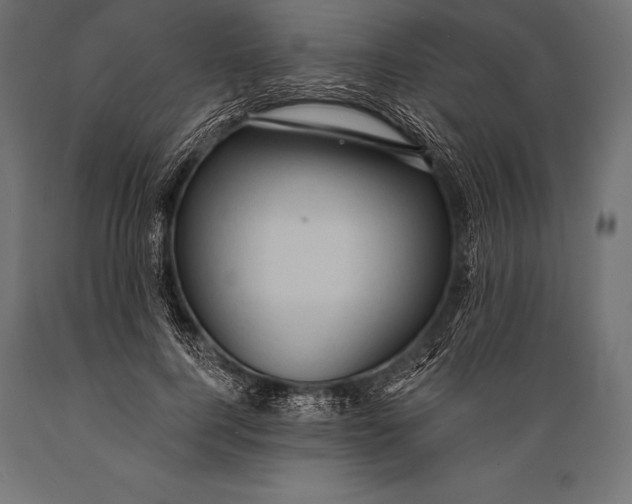 X0000088880744200706291603