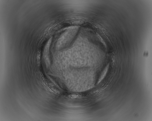 X0000088880745200706291603