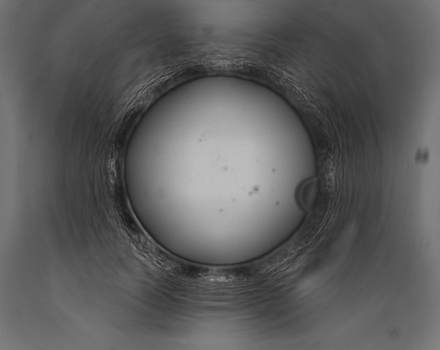 X0000088880746200706291603