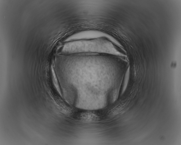 X0000088880747200706291603