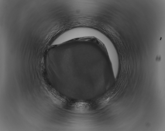 X0000088880748200706291603