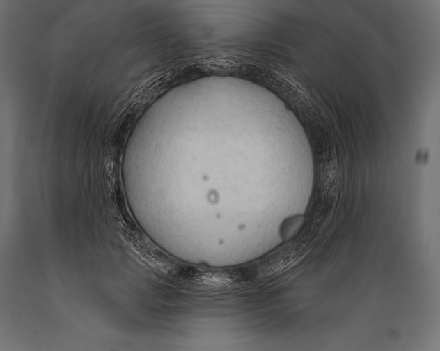 X0000088880749200706291603