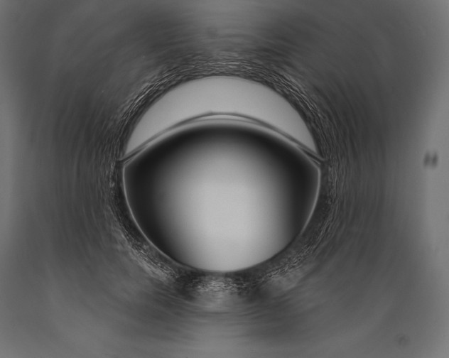 X0000088880750200706291603