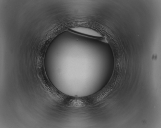 X0000088880751200706291603