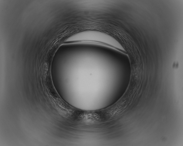 X0000088880752200706291603