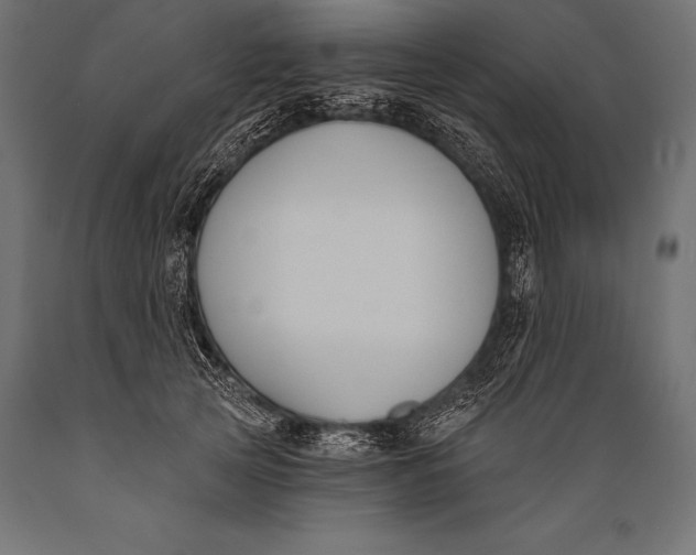 X0000088880753200706291603