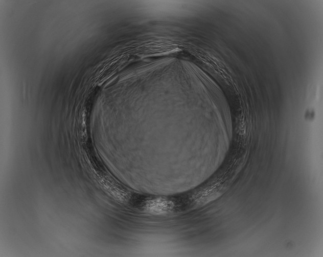 X0000088880754200706291603