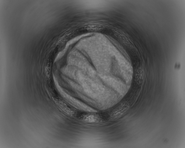 X0000088880755200706291603