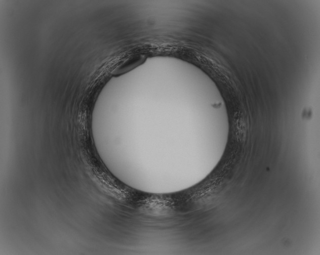 X0000088880756200706291603