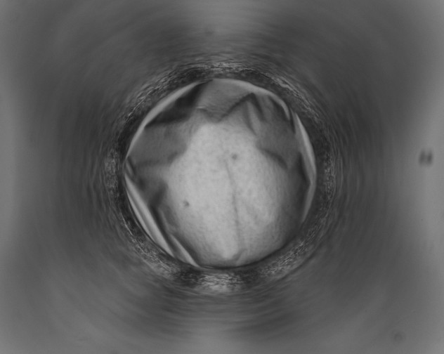 X0000088880757200706291603