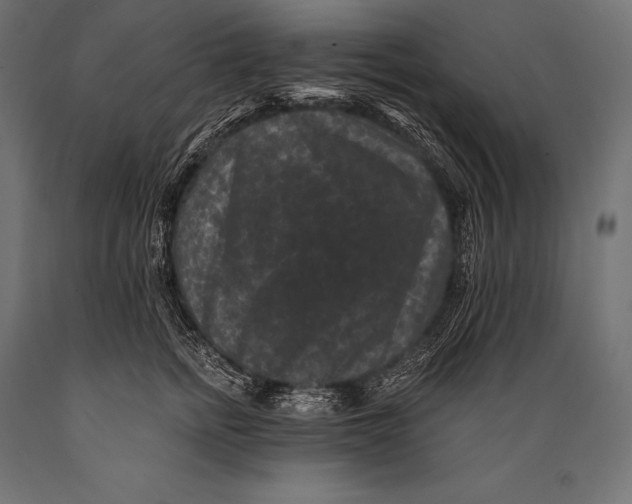 X0000088880758200706291603