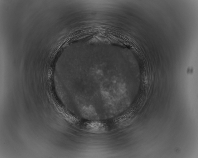 X0000088880759200706291603