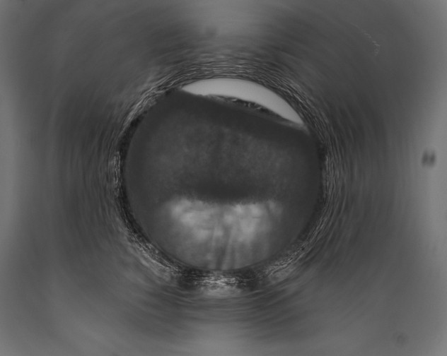 X0000088880760200706291603