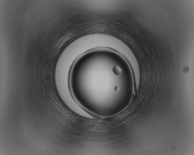 X0000088880762200706291603