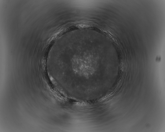 X0000088880763200706291603