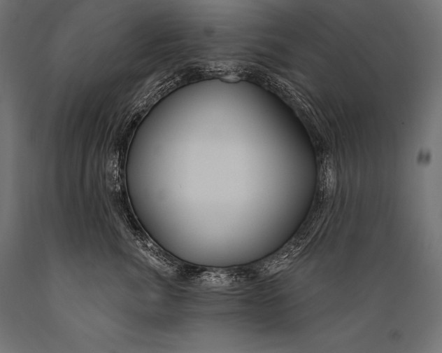 X0000088880764200706291603