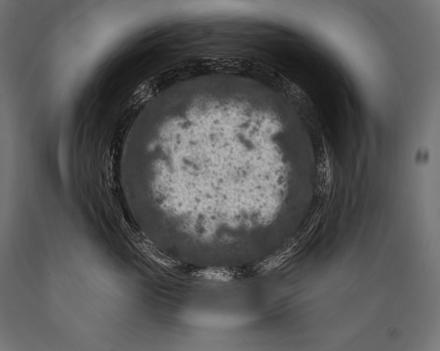 X0000088880765200706291603