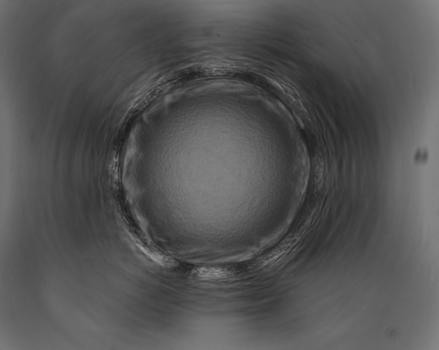 X0000088880766200706291603