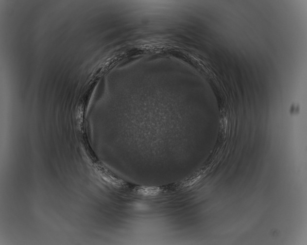 X0000088880767200706291603