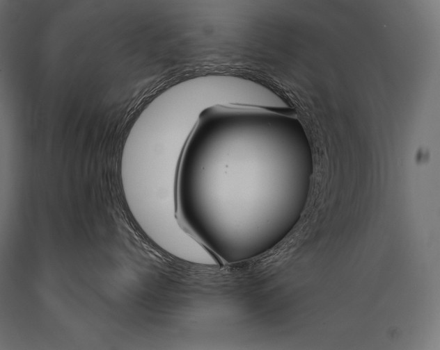 X0000088880768200706291603