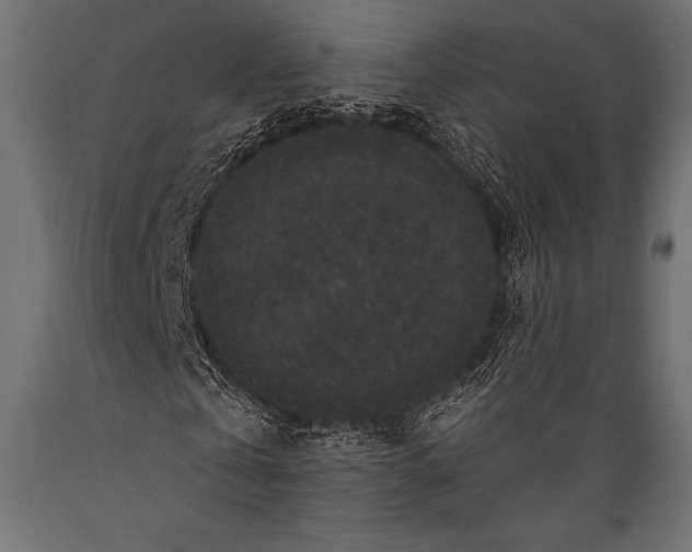 X0000088880769200706291603