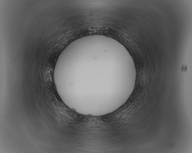 X0000088880770200706291603