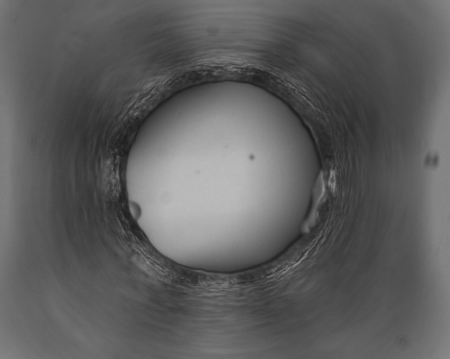 X0000088880771200706291603