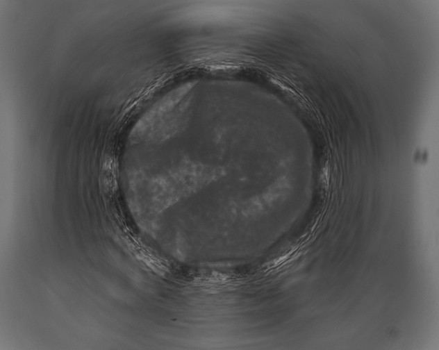 X0000088880772200706291603