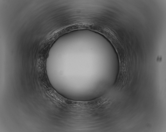 X0000088880773200706291602