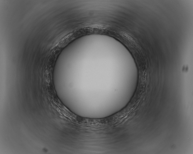 X0000088880774200706291602