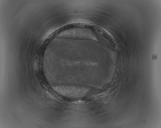 X0000088880775200706291602