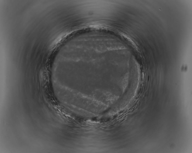 X0000088880776200706291602