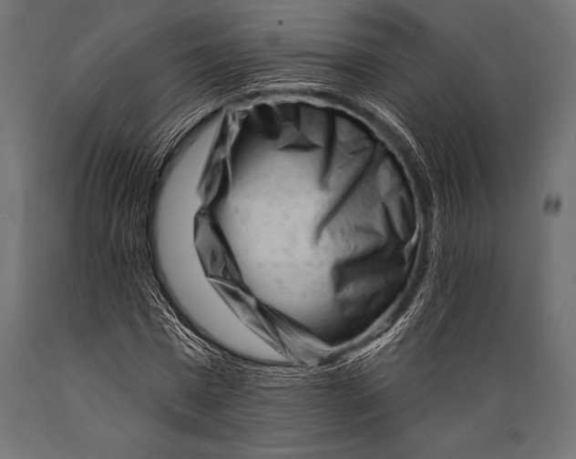 X0000088880777200706291602