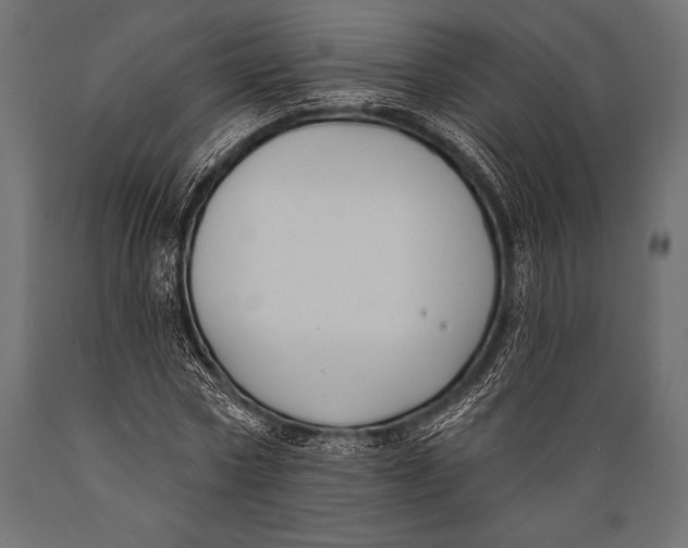 X0000088880778200706291602