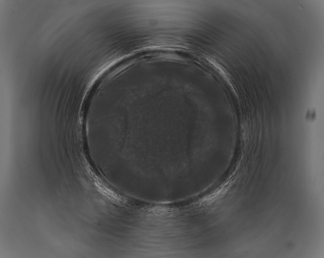 X0000088880779200706291602