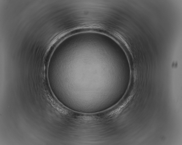 X0000088880781200706291602